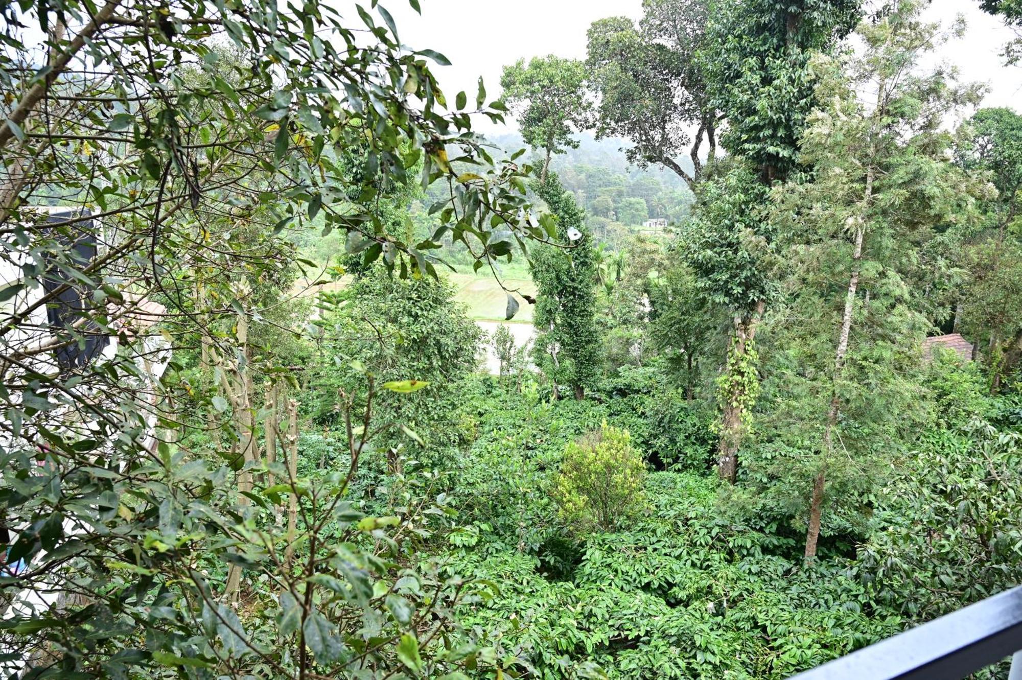 Vila Grand Misty Heaven Madikeri Exteriér fotografie